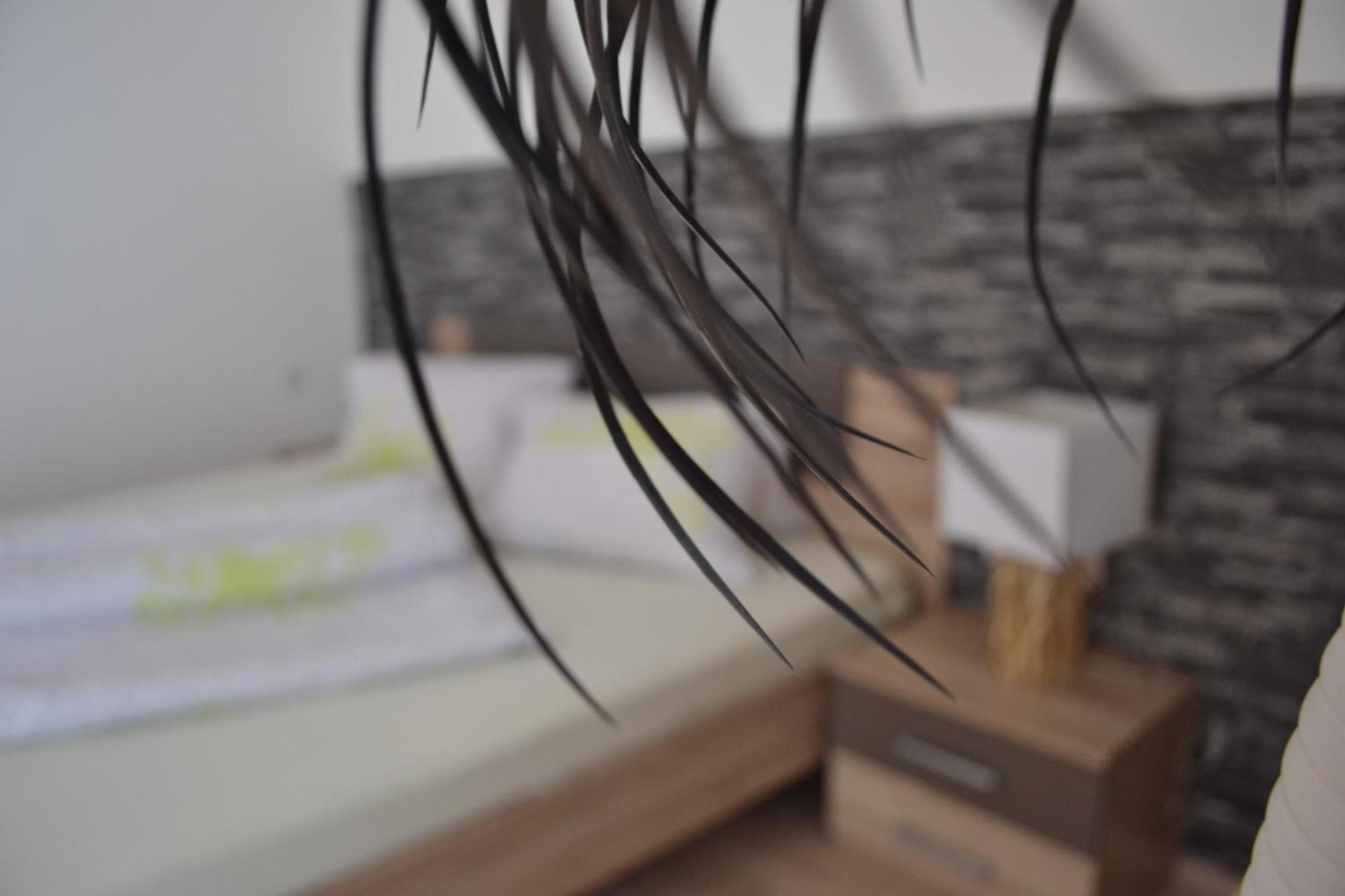 לאנגנפלד Appartement Thermenzeit מראה חיצוני תמונה